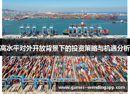 高水平对外开放背景下的投资策略与机遇分析 高水平对外开放背景下的投资策略与机遇分析
